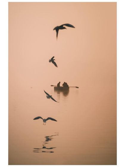 A minimalist composition showing birds flying in a vertical line above a boat on the Yamuna. Their reflections are captured on the water's surface, creating a sense of rhythm and order.