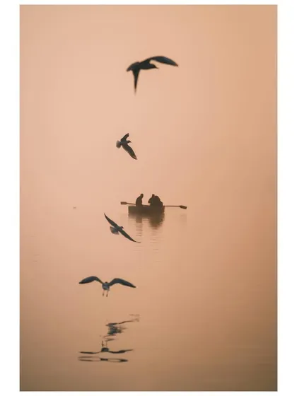 A minimalist composition showing birds flying in a vertical line above a boat on the Yamuna. Their reflections are captured on the water's surface, creating a sense of rhythm and order.