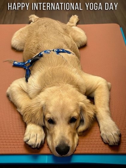 DTown - Fitness & Wellness Classes Yoga & Holistic Wellness photo 3