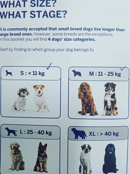 Choosing the right food and products often depends on your dog's size. This simple chart helps you identify if your dog falls into the small, medium, large, or extra-large breed category for better product selection.