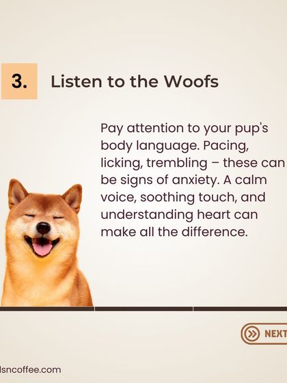 A dog's mental health is crucial. Tip 3: Listen to the woofs. Pay attention to your pup's body language for signs of anxiety. A calm voice and soothing touch can make all the difference.