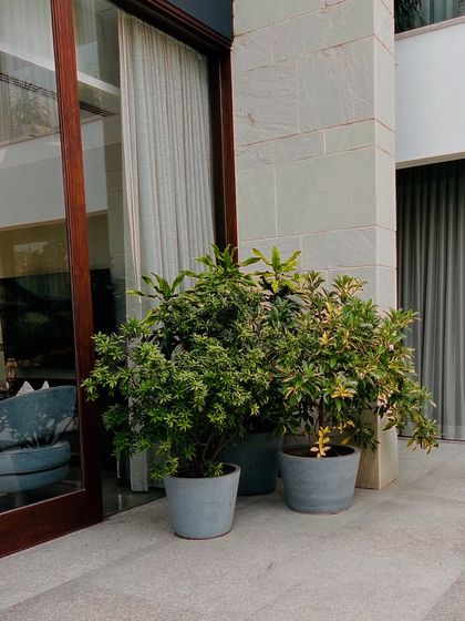 Lush Farmhouse & Villa Landscapes photo 34