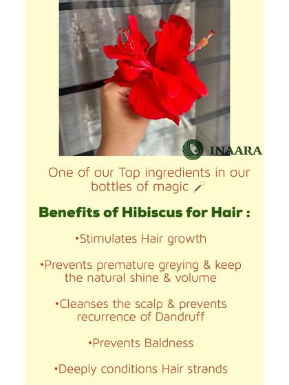 An infographic detailing the many benefits of Hibiscus, a key ingredient in my products. It's nature's secret to stimulating growth, preventing greying, and fighting dandruff.