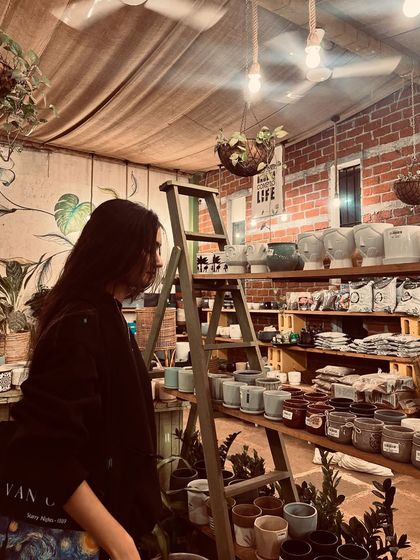 Dress Up Your Plants photo 15