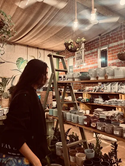 Browsing our shelves of ceramic and terracotta pots. Finding the right planter is just as fun as finding the right plant.