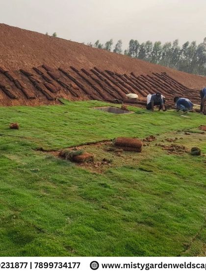 Our team carefully lays rolls of natural turf on a prepared slope. This technique is essential for preventing soil erosion and establishing a healthy lawn on uneven terrain.
