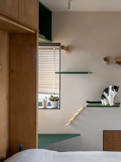 We believe good design should extend to every member of the family, including pets. In this guest bedroom, we integrated a custom 'cat wall' with shelves, ramps, and a hammock, creating a playful vertical landscape for our clients' feline friends.