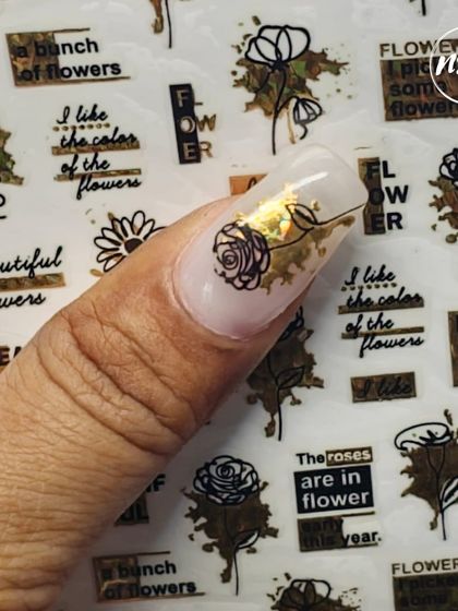 Student Work & Success Stories photo 14