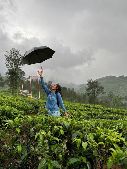 A trekker with an umbrella in a tea garden, enjoying the rain.