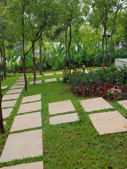 A garden path made of irregularly placed stone slabs set into the lawn, surrounded by young trees and shrubs. This design creates a natural, informal feel.