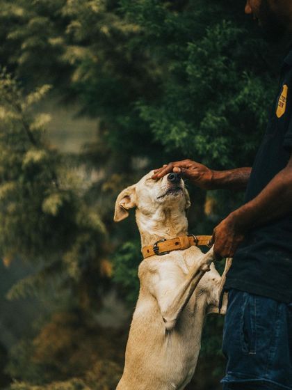 A quiet moment with Jenny. She loves to stand up for pets and just soak in the affection. These moments of connection are what it's all about.