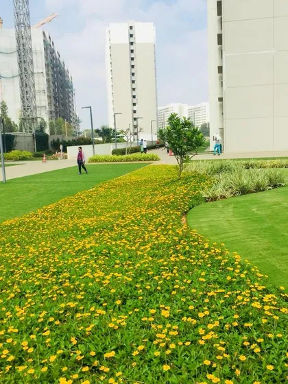 Our large-scale landscaping services for commercial properties and apartment complexes focus on creating beautiful, high-traffic green spaces, like this vibrant bed of yellow flowers.