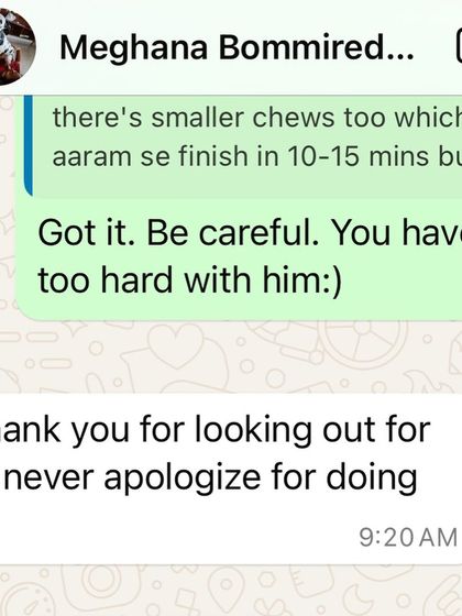 Confident Dogs - Canine Behavior Modification Real Dogs, Real Transformations photo 21