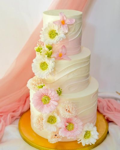 Special Occasion Cakes