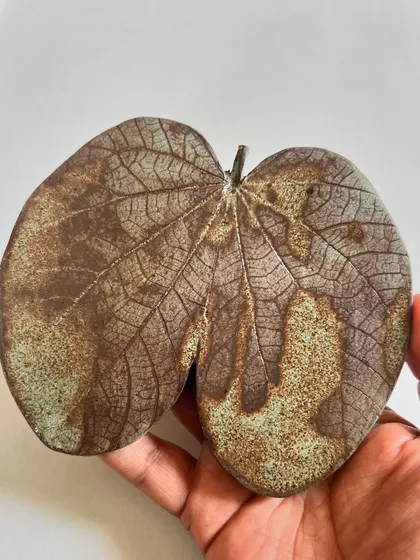 A close-up of a hand-held ceramic leaf, showing the incredible detail captured from the real thing.