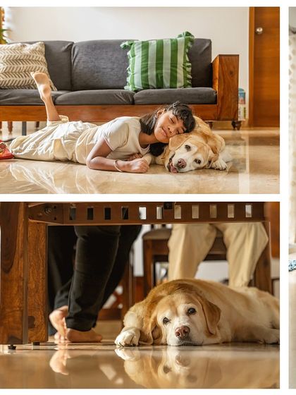 Pawparazzi By Prathima - Pet Milestone Photography Senior Tributes & Golden Years photo 49