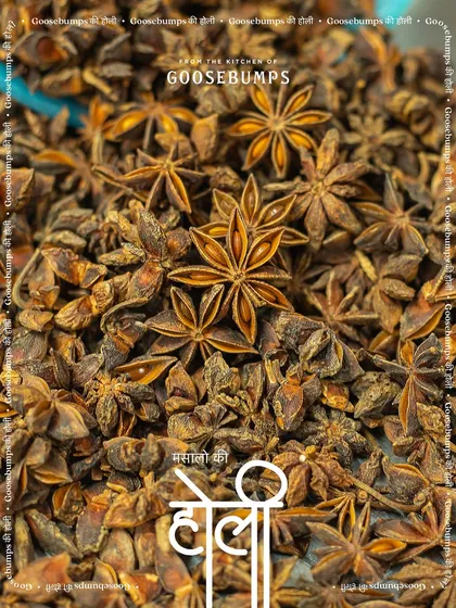 A stunning close-up of star anise, another key player in my spice blends. Its unique shape and liquorice-like flavour add a special aromatic note to many of my traditional masalas.