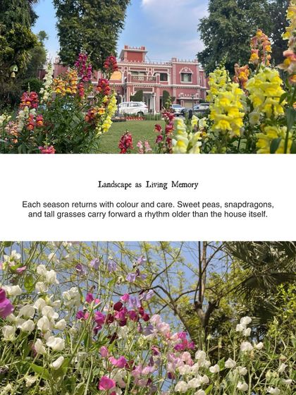 The landscape at The Blooming Garden is a form of living memory. Each season returns with color and care, with sweet peas and snapdragons carrying forward a rhythm older than the house itself.