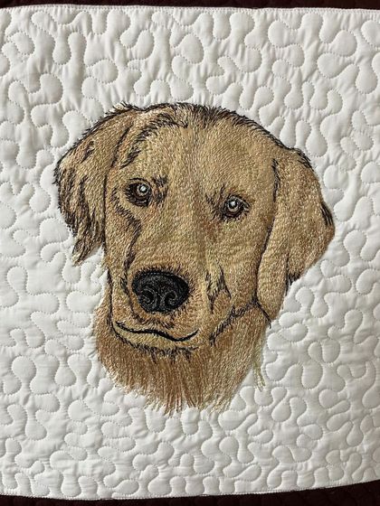 A close-up of the Golden Retriever portrait.