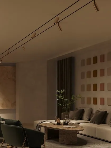 A duplicate of ID 57, this image reinforces the use of track lighting for creating dynamic accent walls and highlighting art collections in residential spaces.