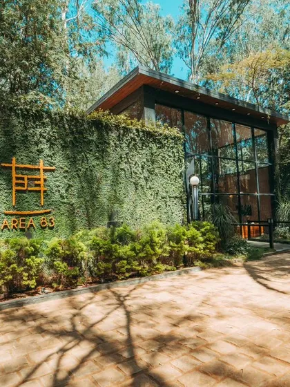 The entrance to Area 83, with our logo on a living wall of green ivy, setting the tone for a nature-filled experience.