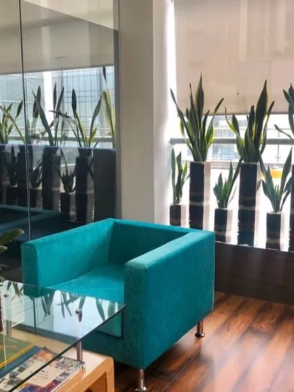 For this quiet waiting area, I used a series of tall, slender planters with Snake Plants. These plants are not only stylish and modern, but they are also excellent air purifiers and require very little maintenance, making them a perfect choice for busy commercial spaces.