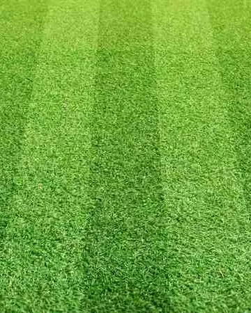 This extreme close-up showcases the texture and realistic look of our artificial grass blades. We select turf that mimics the appearance of a perfectly manicured natural lawn, with alternating stripes for an authentic look.