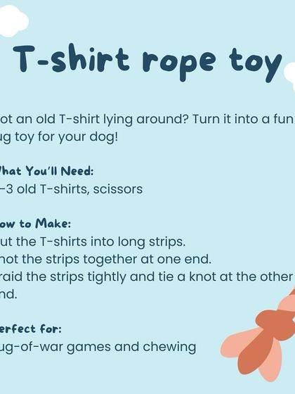 Oh My Dawg - Pet Supplies Playtime & Enrichment photo 12