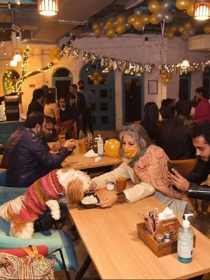 The party is always on at Bark Street! This is a snapshot from one of our bustling celebration nights, filled with happy people, playful pups, and an electric atmosphere. We love hosting events that bring our whole community together.