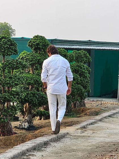 A view of me walking through the outdoor section of my nursery where I grow and maintain my collection of large bonsai trees.