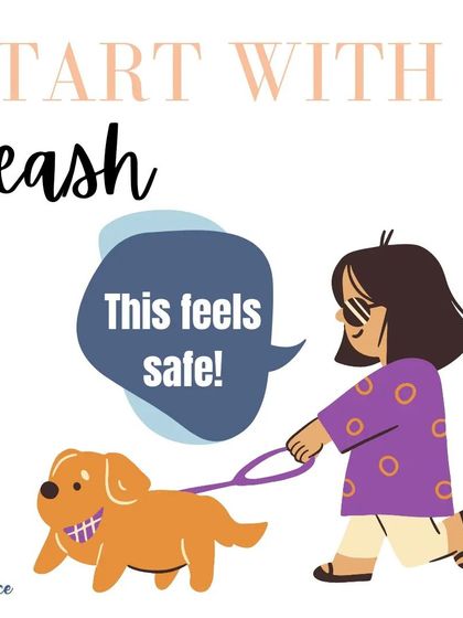 When you first start teaching recall, using a long leash is a great safety net. It allows you to gently guide your dog back to you, ensuring they succeed every time.