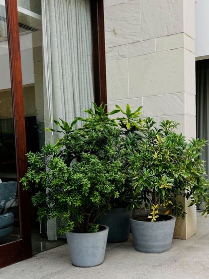 Lush Farmhouse & Villa Landscapes photo 55