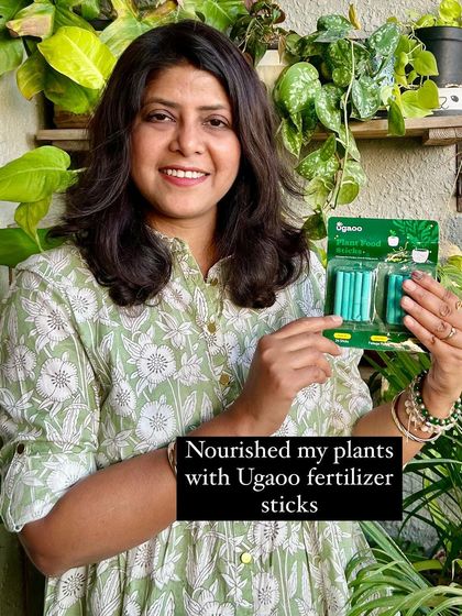 Sushmita - Indoor Plant Styling & Care Plant Care, Tips & Sourcing photo 7
