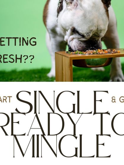 Hungry Eyes - Natural Pet Treats & Chews Pet Parent Guides & Tips photo 8