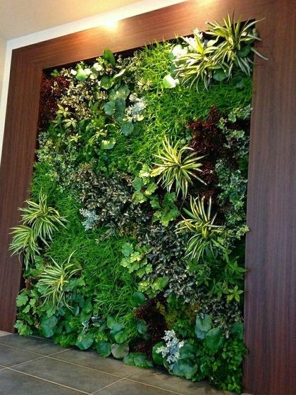 Vertical Garden Setup - Landscape Design & Execution Branded & Interior Green Walls photo 9