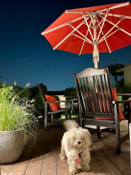 Whispering Gardens - Landscape & Garden Design Urban Oases: Rooftop & Terrace Gardens photo 41