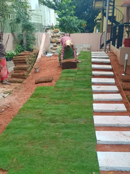 Here, my team is carefully laying down sections of natural grass sod next to the newly installed stepping stone path.