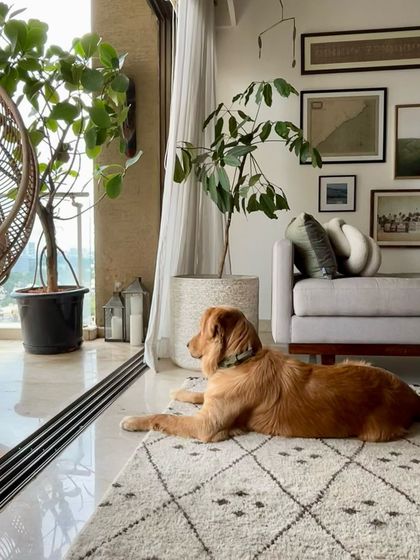 Weespaces - Full-Service Residential Interior Design Miscellaneous Projects & Details photo 21