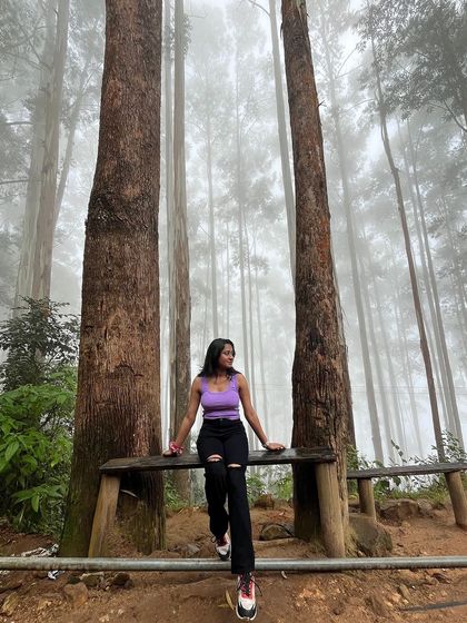 A trekker sitting on a bench in the misty Kodaikanal pine forest.