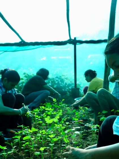 Participants work under the shade of a net house at our nursery, transplanting seedlings of Roheda, Moringa, and other native species.