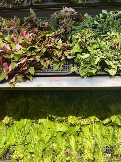 Our Inspiration: The Beauty of Nature photo 5