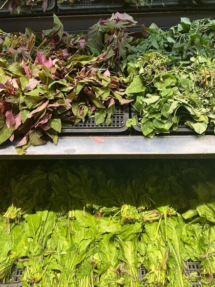 Freshly harvested leafy greens, like amaranth and spinach. Many greens can be used in the eco-printing process or to create subtle, earthy tones on fabric.
