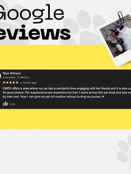 Oh My Dawg - Pet Grooming Services Hear from Our Happy Clients photo 4