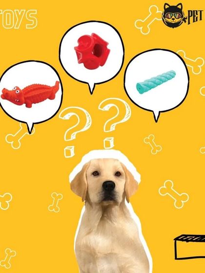 Pet Cartel - Pet Supplies & Food Delivery Walk, Play & Dress Up photo 4