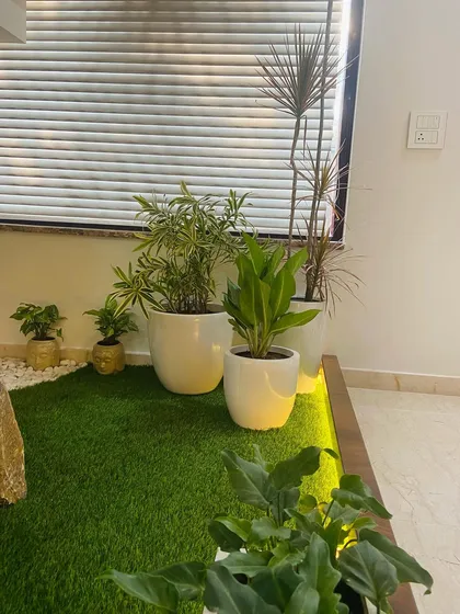 A close-up of the plant selection for the under-staircase garden. We chose a variety of low-light tolerant plants in simple white ceramic pots to create a clean and modern look that complements the home's interior design.