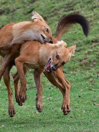 Guided Tours & Photography Workshops