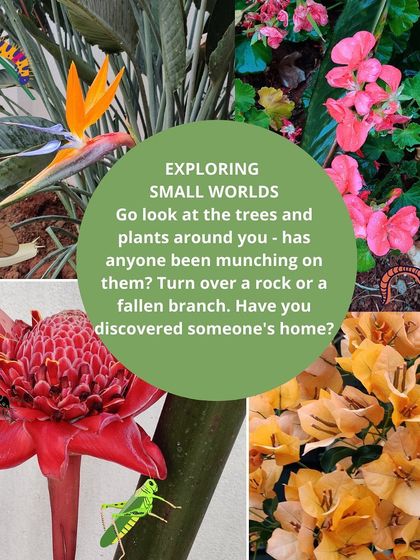 Earthlings Early Years - Preschool & Daycare Learning in Nature's Classroom photo 10