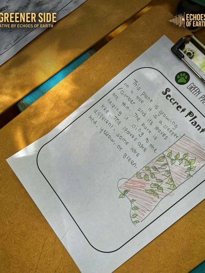 A close-up of a "Secret Plant" activity sheet from our journaling workshop, encouraging kids to look closely and describe what they see.