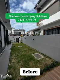Landscape Design & Execution
