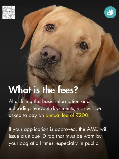 The Pack - Online Pet Parent Community A Voice for Every Dog photo 6